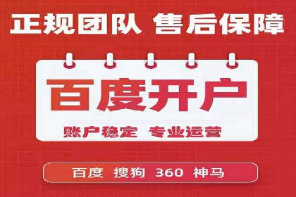 某电商平台信息流广告的精准推广策略
